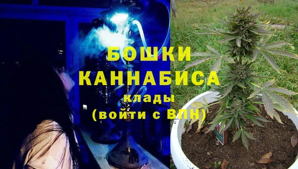круглые Пересвет