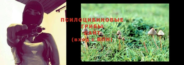 круглые Пересвет