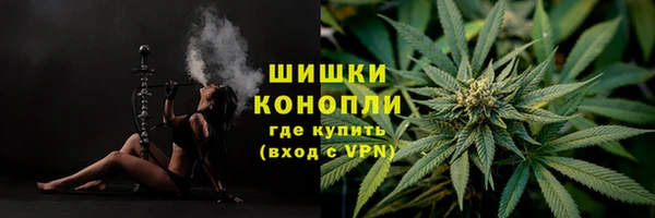 круглые Пересвет