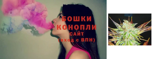 круглые Пересвет